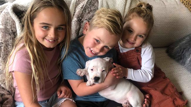 Stevie, 9, Shay 8, and Scout, 4, were praised for their quick thinking when part of their Aspendale house caught fire. Picture: Supplied