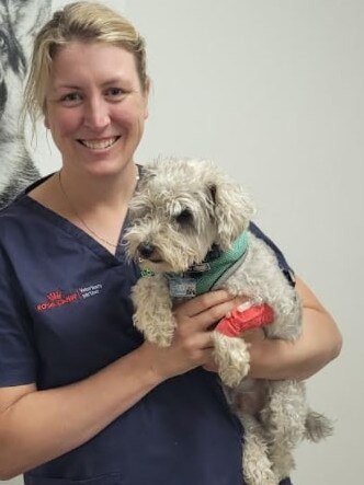 Dr Catherine Harper from Barossa Veterinary Service with Frasier. Dr Harper and other vets can make recommendations to prospective dog owners. Picture: Amy Maynard