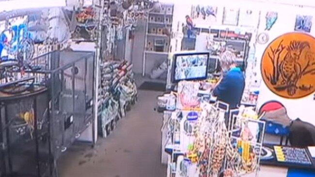 Moments before a car ploughed through a Pooraka bird store. Picture: 7 News