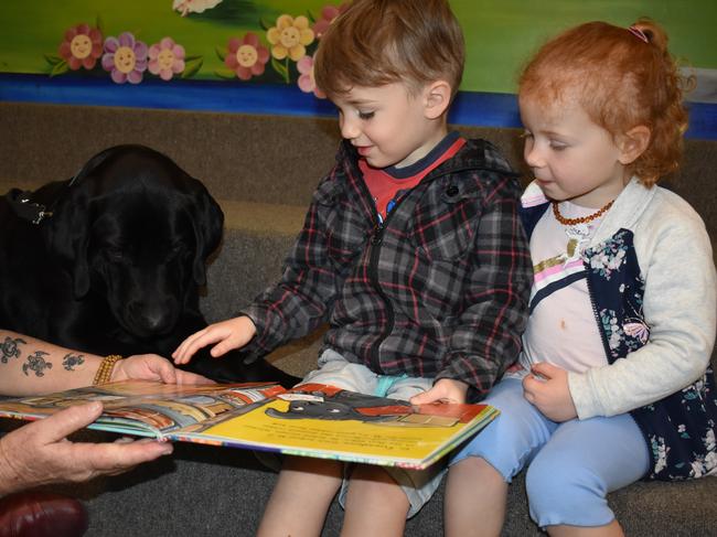 Frankie the story dog joined Kookaburra Early Learning Centre children at Casino Library for story time. Frankie bought along his owner Shelly Hayes from Coraki.