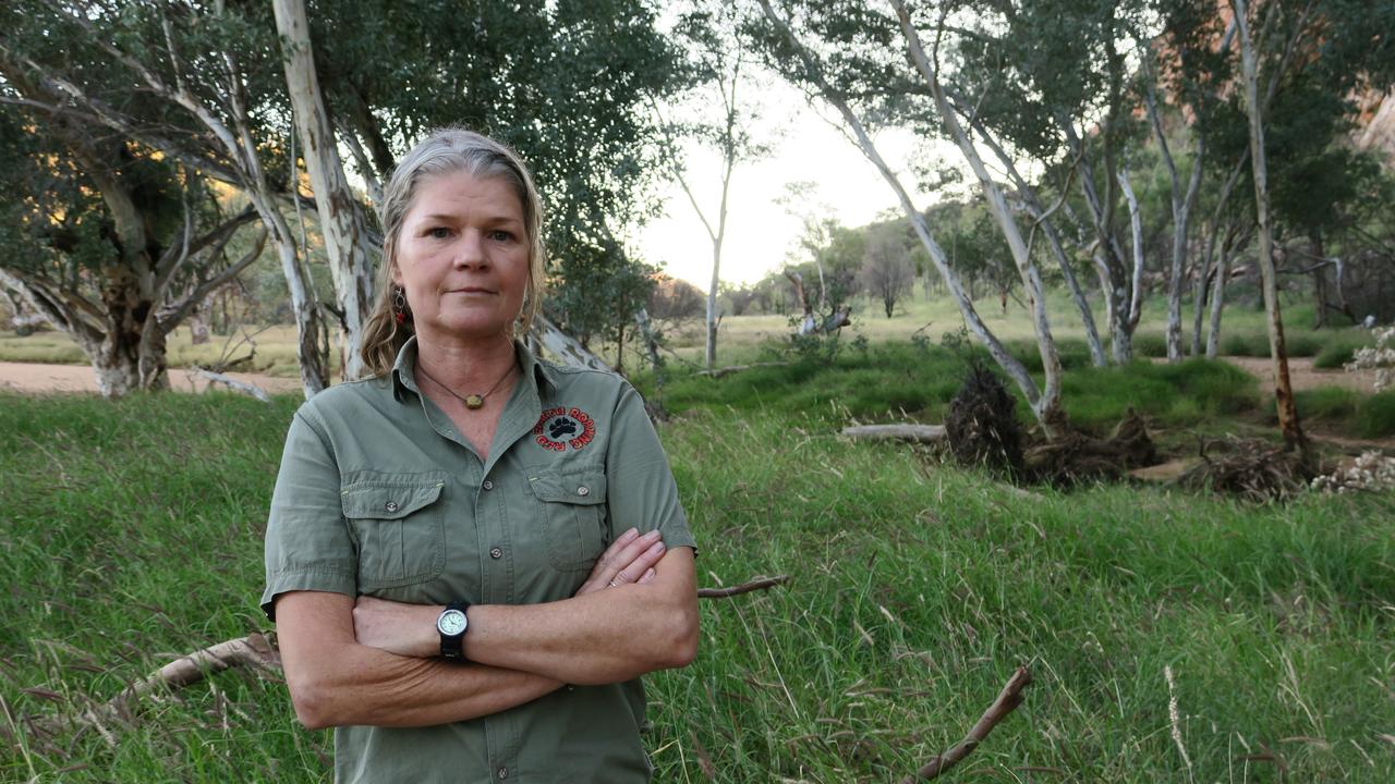 Red Earth Roaming tour guide Kirsty Holmgren in front of invasive buffel grass at Emily Gap, just outside of Alice Springs. Picture: Gera Kazakov