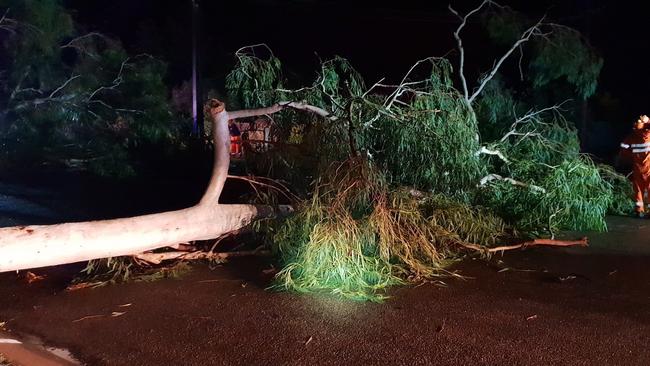 Katherine SES volunteers clear a fallen tree during last night's wild storm which battered large parts of the Top End. Picture: NTPFES