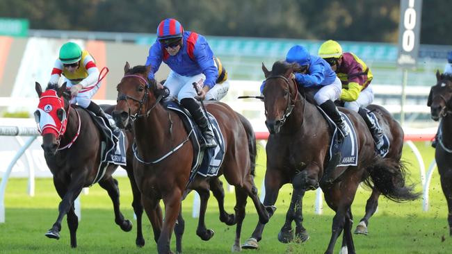 Dubai Honour was too good for Anamoe in the Queen Elizabeth Stakes at Randwick on Saturday. Picture: Jeremy Ng/Getty Images