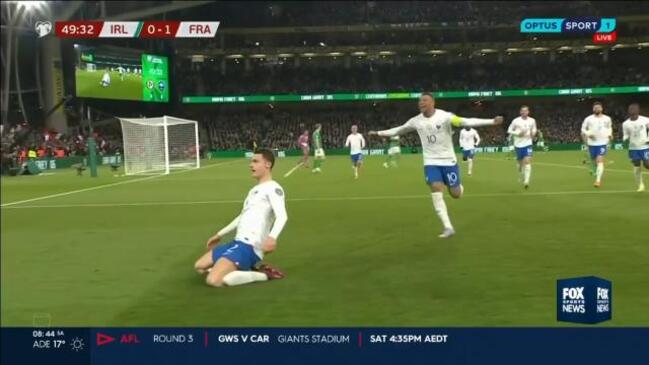 France land beautiful goal against Ireland