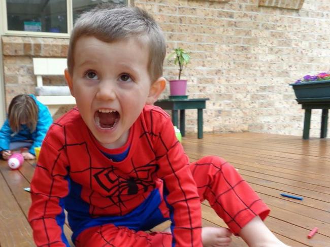 William Tyrrell went missing almost a decade ago. Picture: Supplied