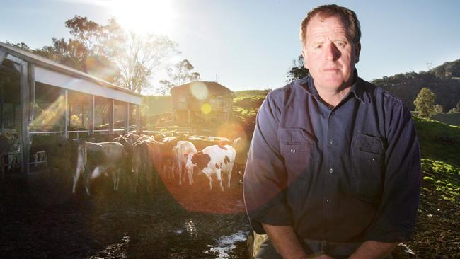 Joe Bradley with his cows at his dairy farm in Dayboro. Picture: supplied