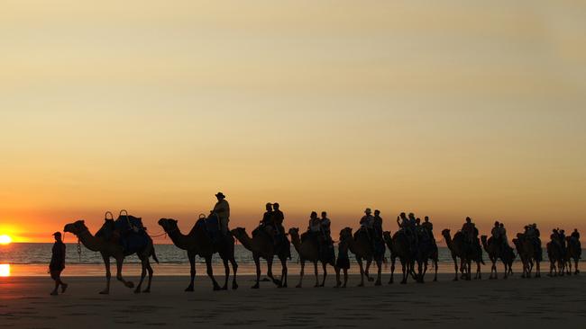 Amazing Australia ... Camel rides at sunset on iconic Cable Beach in Broome, WA. Picture: Supplied