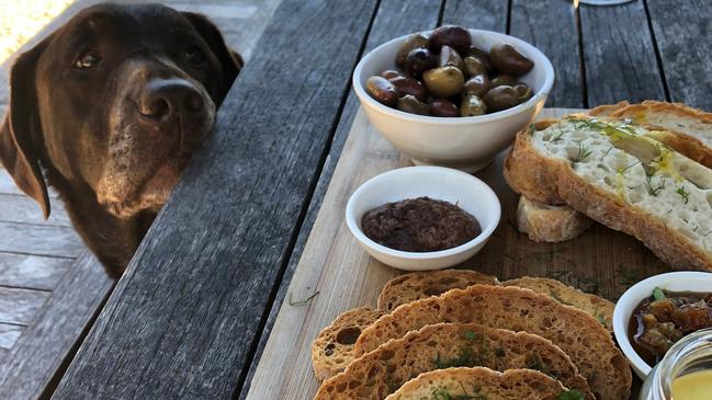 Should you stop seeing your mother because she keeps feeding your dog human food?