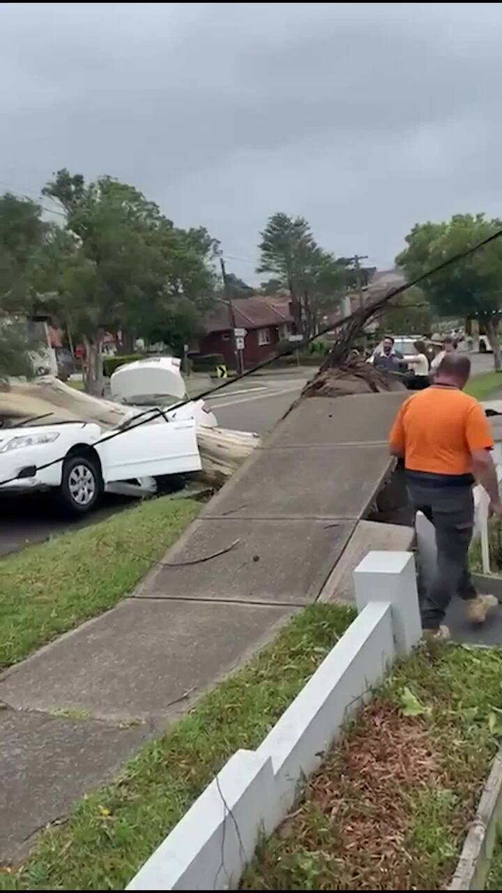 Wild winds across Sydney cause havoc