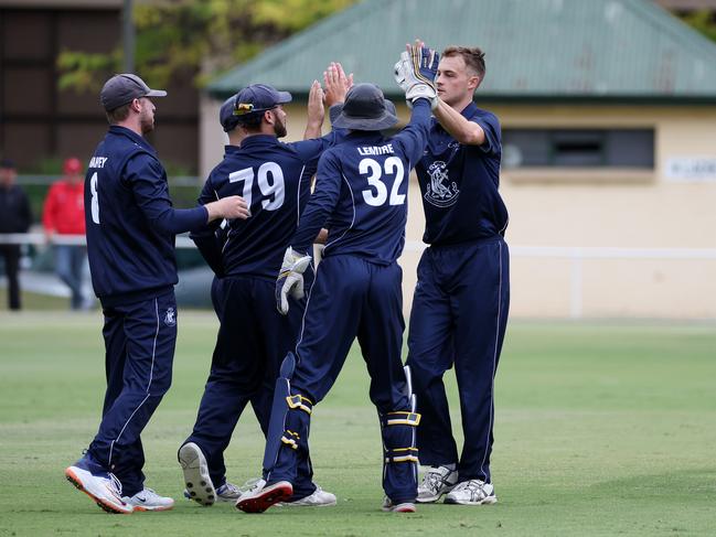 The Blues celebrate a wicket. Picture: George Sal