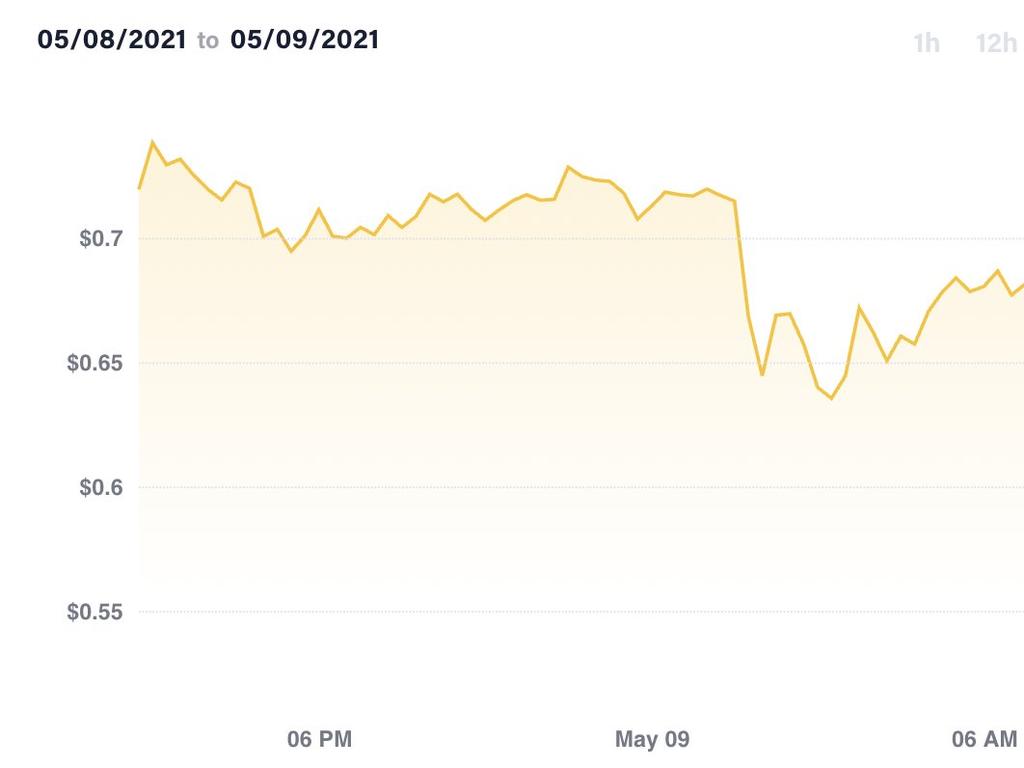 Dogecoin fell off a cliff during Elon Musk’s performance.