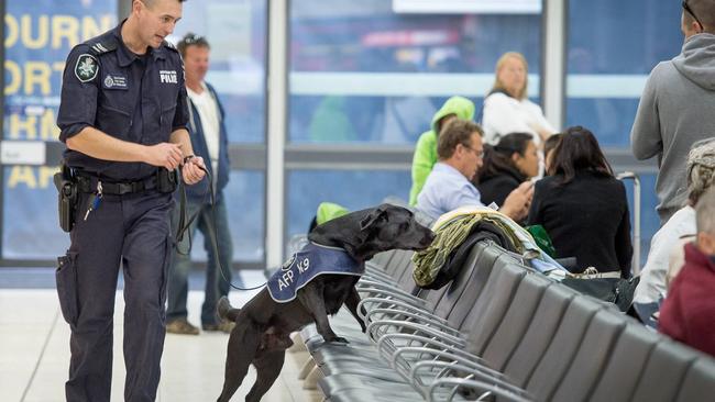 The Australian Federal Police conducted a high-visibility operation at Melbourne Airport on January 27, including using the canine unit.