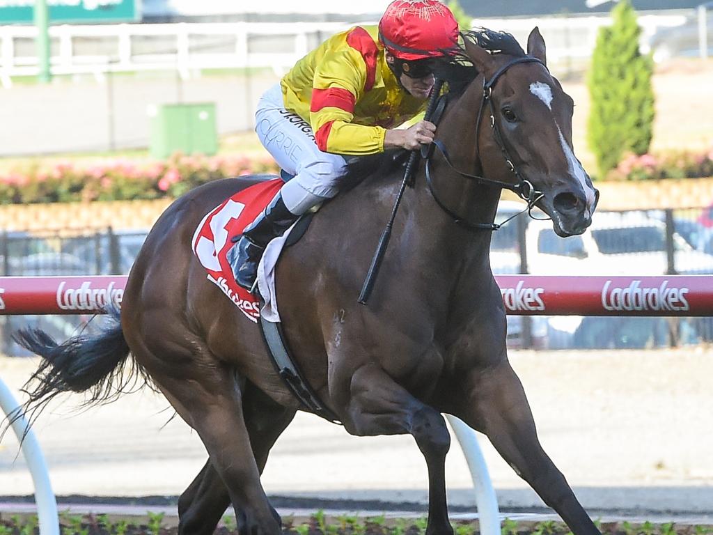 Grand Scholar, ridden by Luke Currie, thrashes her rivals at Moonee Valley.