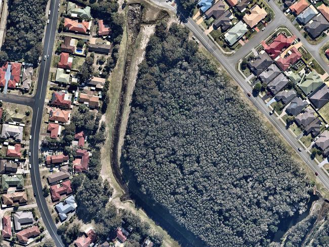 Forster suburbs were green before the bushfire season. Picture: Nearmap