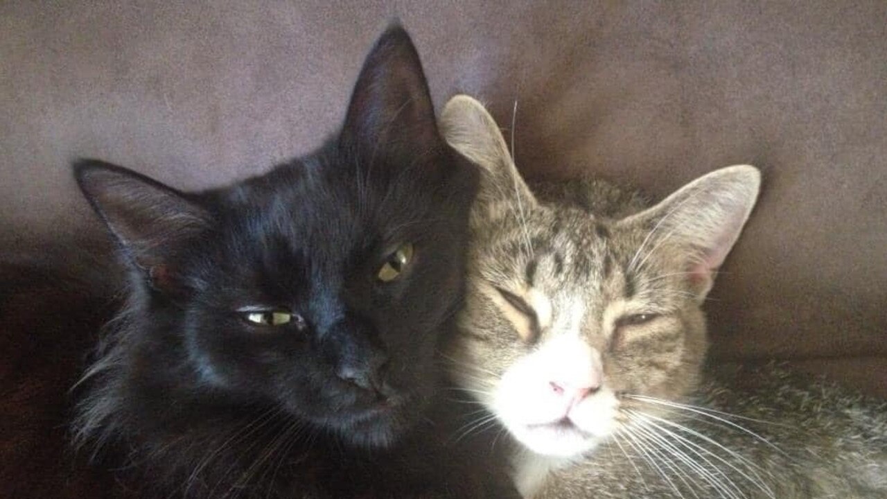 Shadow and Storme (bub and mum). Picture: Amanda Roberts.