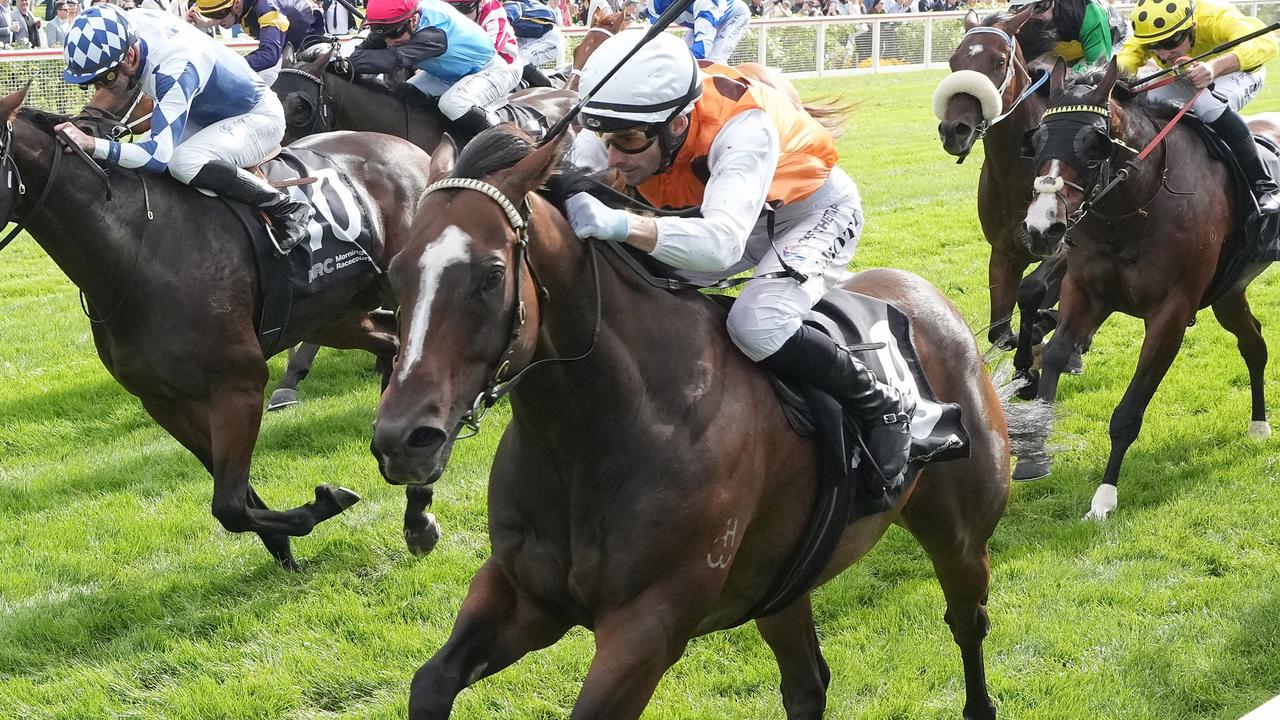 Sandhu’s hopes high with 7YO having just his 15th start