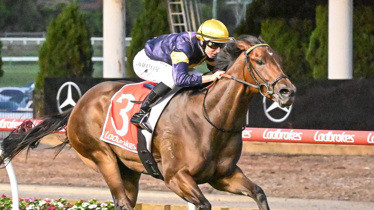 First Moroney horse to step out for Hayes brothers