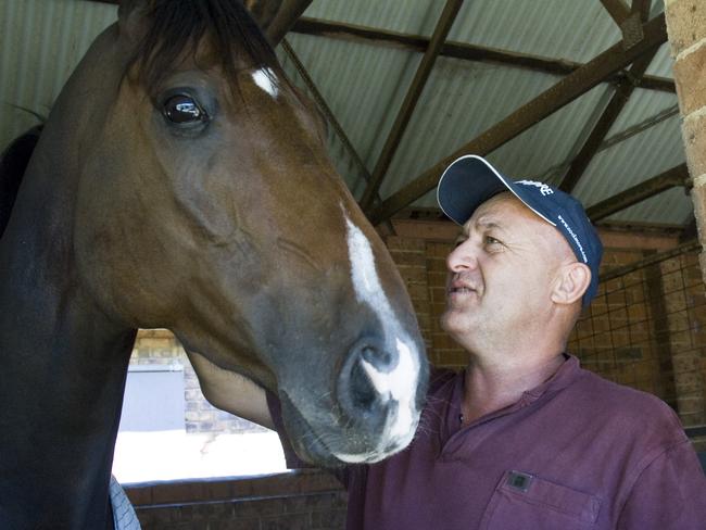 Ballina Horse trainer Stephen Lee with race horse Urnfield who is one of the favorites for the weekends Casino Cup. Photo Jay Cronan / The Northern Star