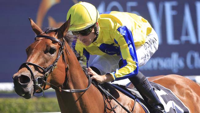 Hugh Bowman could start the day on a winning note with Mura Mura. Picture: Getty Images