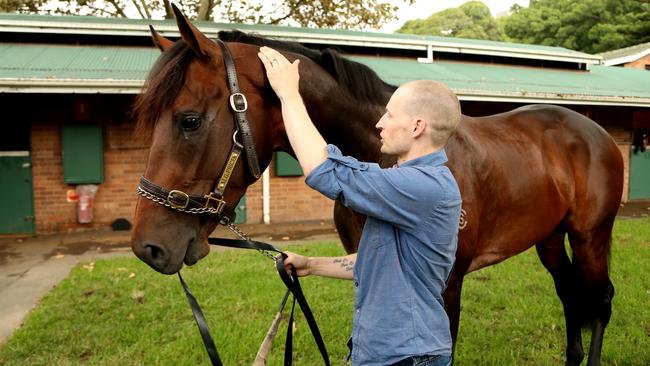 Caulfield Cup favourite Tarzino will carry 54kg in the big race. Picture: Adam Taylor
