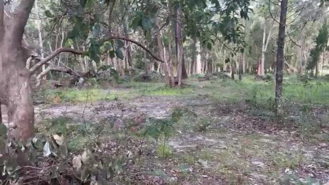 Land clearing North Stradbroke Island Minjerribah