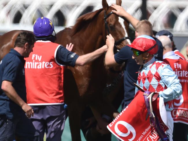 Jockey Gerald Mosse walks past Red Cadeaux as it fails to finish the Melbourne Cup on Melbourne Cup Day at Flemington Racecourse in Melbourne, Tuesday, Nov. 3, 2015. (AAP Image/Tracey Nearmy) NO ARCHIVING