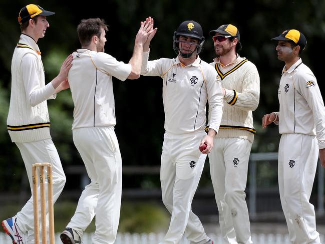 The Monash Tigers celebrate a Camberwell wicket last October in Premier Cricket.