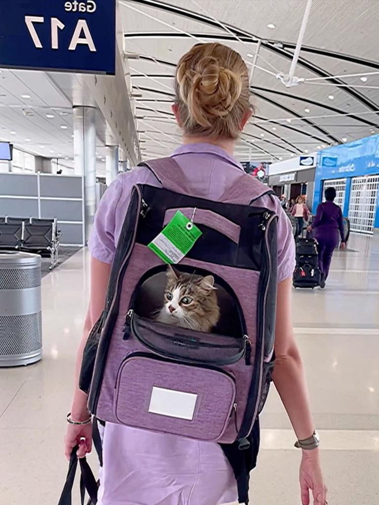 At first, Bao Zi was nervous to travel, but she got the hang of it as time went on. Picture: Caters News Agency