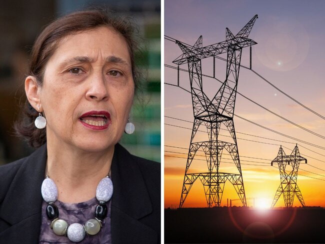 Victorian Energy Minister Liily D'Ambroisio's order adds $154 million to the cost of building transmission lines across NSW, affecting hundreds more landholders.