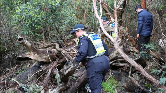 Missing Persons Squad detectives joined the Public Order Response Team and Mounted Branch Police to hone in on the area. Picture: David Crosling