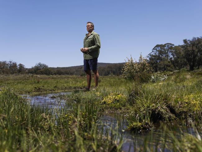 Richard Swain surveys the damage brumbies have caused to the park’s waterways. Picture: Sean Davey.