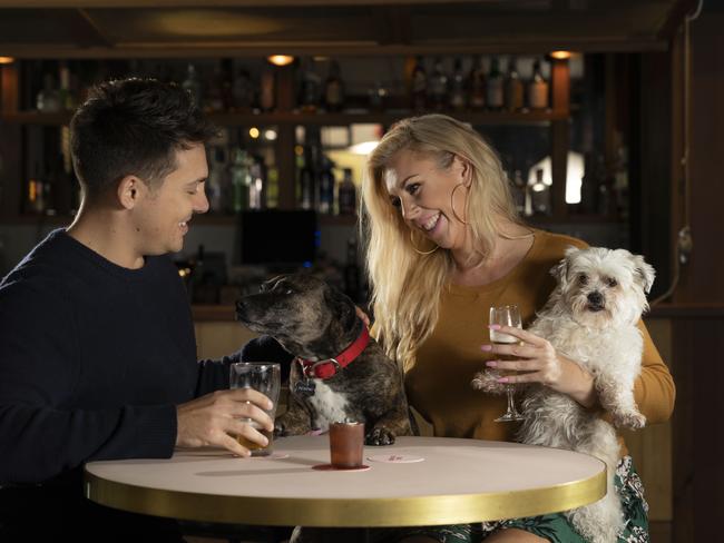 Could this be a Lady and the tramp moment in the making? Photo: AAP/Matthew Vasilescu