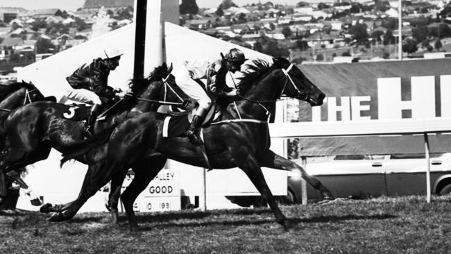 Kingston Town wins the 1981 Cox Plate at Moonee Valley.