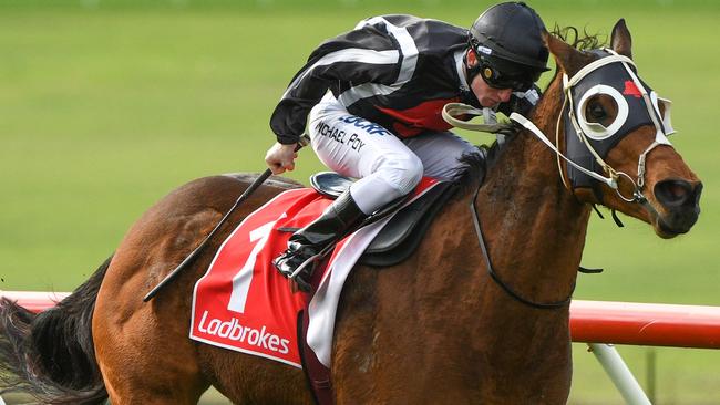 Mick Bell’s former star Jungle Edge. Picture: Getty Images.