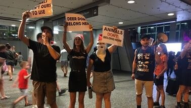 Animal activists protest Brisbane's annual Christmas parade.