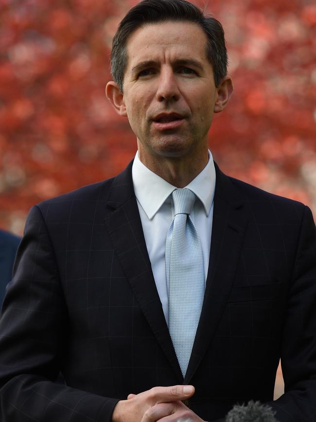 Senator Simon Birmingham. Picture: Sam Mooy/Getty Images