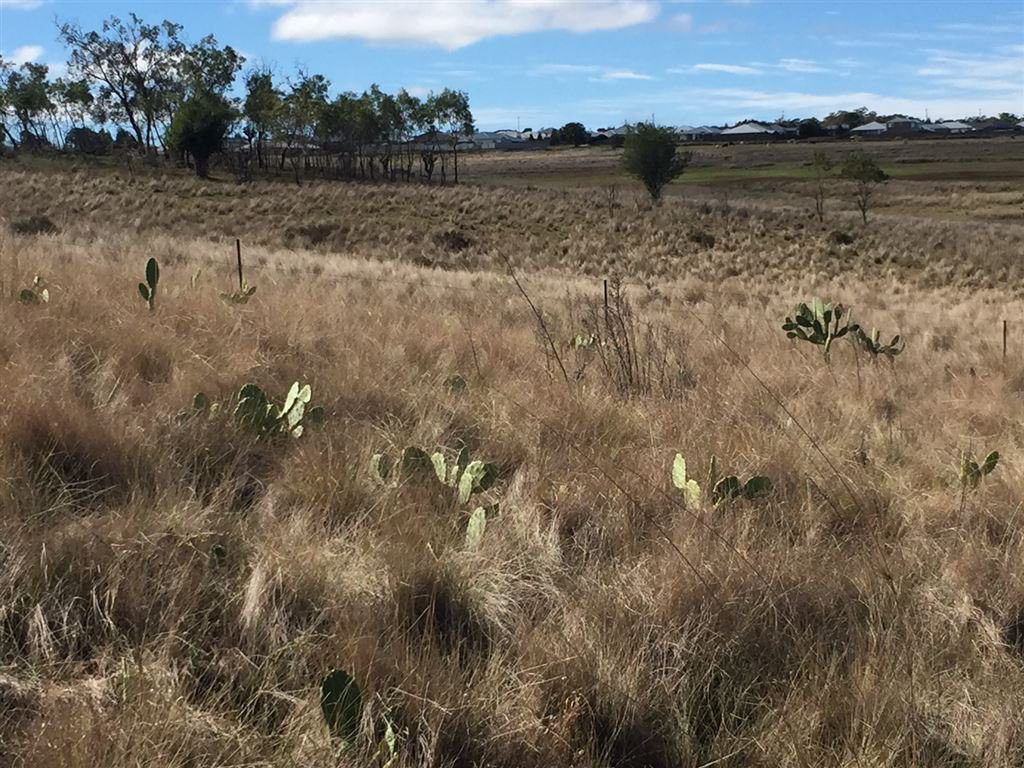 The 23.7 ha site at 1 O'brien Rd, Highfields. Photo Contributed. Picture: Contributed