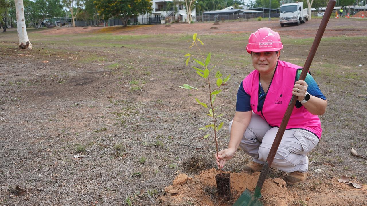 How a Top End council’s policy change may see 1000 trees planted