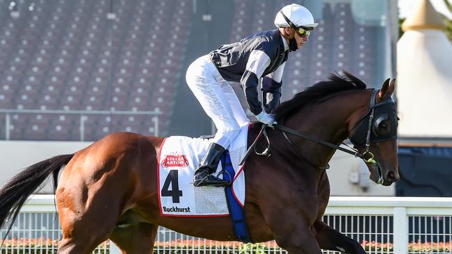 Buckhurst will back up in the Cox Plate. Picture: Getty Images