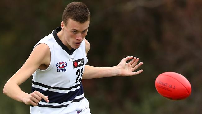 Nikolas Cox in action for the Northern Knights in the NAB League last year. Picture: Kelly Defina/AFL Photos