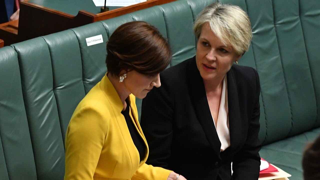 Companies non-compliant with govt mandated gender pay gap reports increase 17-fold: Plibersek