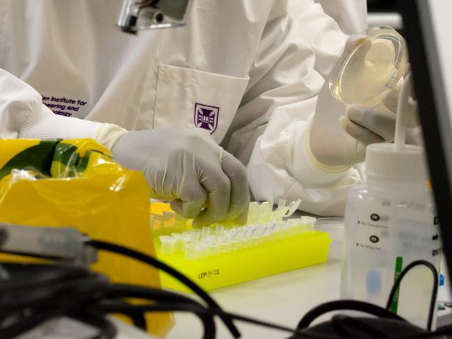 University of Queensland scientists are busy in their lab as part of an international collaboration to develop a vaccine for the recent coronavirus outbreak. Picture: Supplied