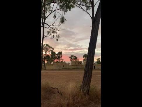 A morning at Exercise Brolga Run