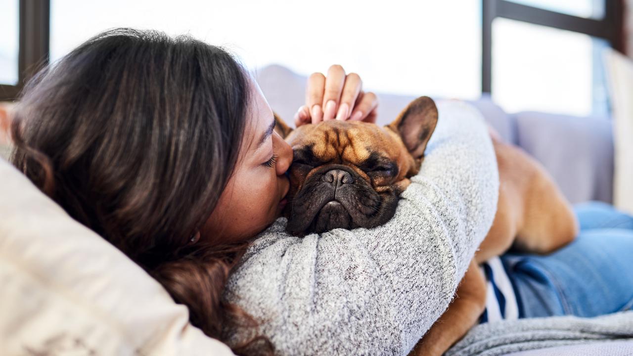 ‘During the relationship, I paid for all Gigi’s food and accessories’. Picture: iStock