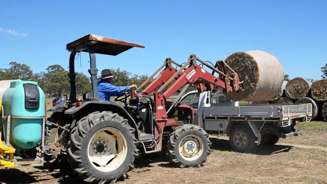 Farmers were relieved to receive a hay bale delivery this morning with 80 bales donated by Warwick business Olsens Produce. Picture: Elyse Wurm