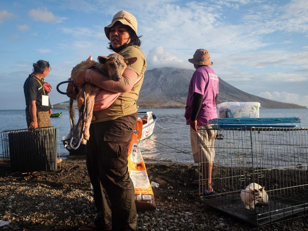 A volunteer carries an injured dog from the evacuated area around Mount Ruang volcano on Tagulandang Island, North Sulawesi. The volcano erupted three times on April 30, launching lava and ash over five kilometres high, and forcing the evacuation of 12,000 residents.. Picture: Ronny Adolof Buol/AFP