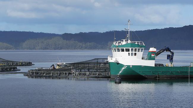 Tassal salmon pens, in Macquarie Harbour, Strahan, West Coast of TasmaniaPicture: MATHEW FARRELLfish / pen / salmon / farm / fish farm / net / cage / aquaculture