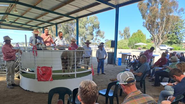 Avenel Merino stud at Wanganella, NSW, has used their ram sale to generate funds for breast cancer nurses, selling lot 23 for $6000 at their sale.