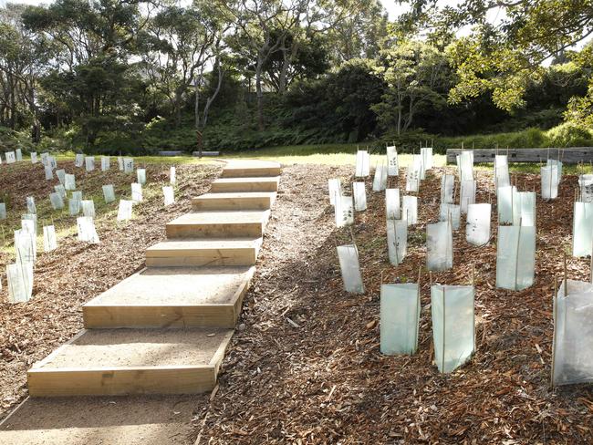 The Headland Park walkway in the Georges Heights area was one Harbour Trust site which the plant vandal targeted. Picture: David Swift