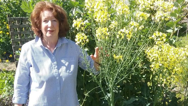 Grassroots: Violet Town Seed Savers co-ordinator Sandra Richardson